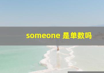 someone 是单数吗